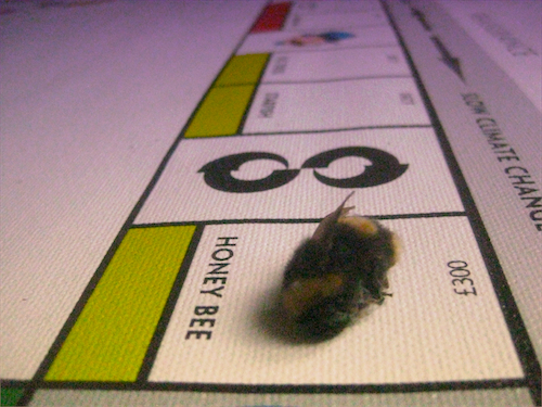 Bee_death1