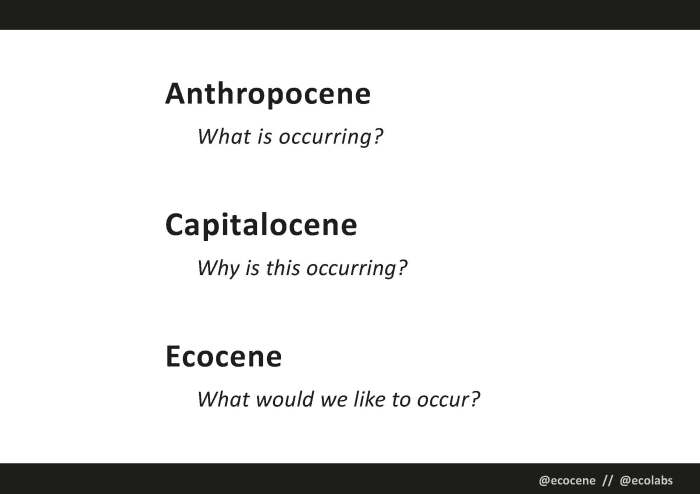 Ecocene EAD2019 - Online_Page_17